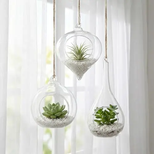 

3pcs Clear Glass Hanging Terrariums For Air Plants And Succulents With Decorative Pebbles Ideal Home Decor Gift