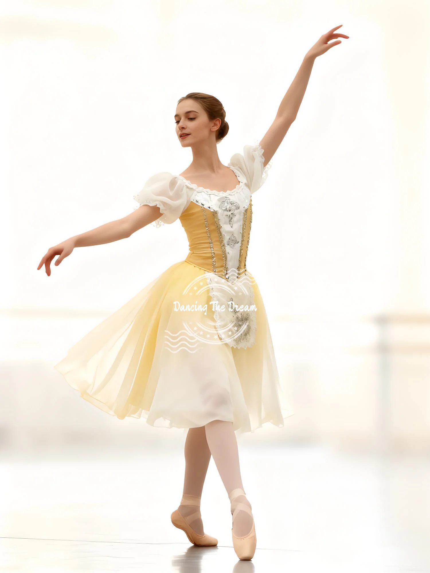 

Giselle Professional Tulle Ballet Dress Elegant Puff - Sleeve Embellished Ballet Gown