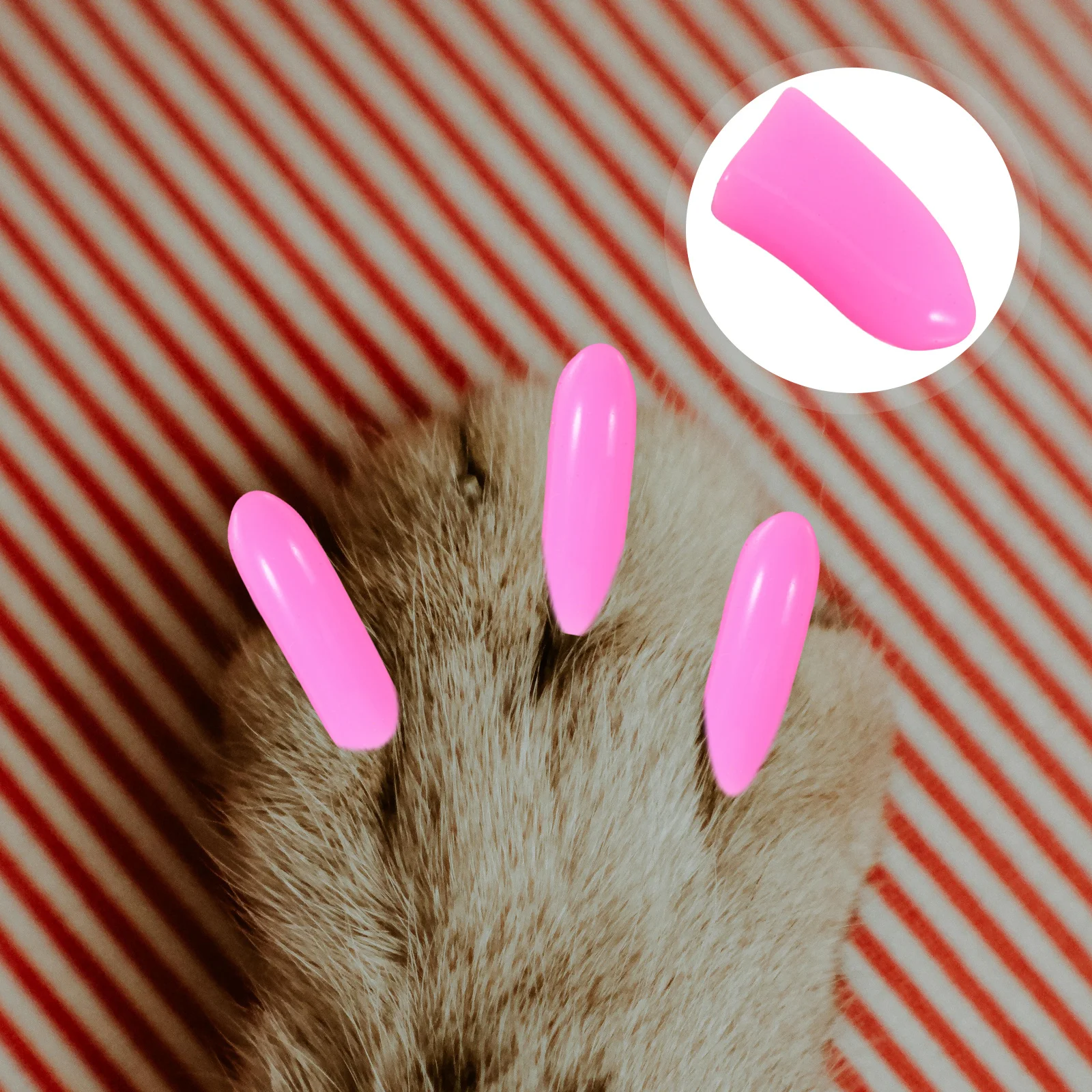 

200Pcs Pet Cat Claw Protectors Soft Comfortable Furniture Protection Easy Install Stylish Kitten Accessories