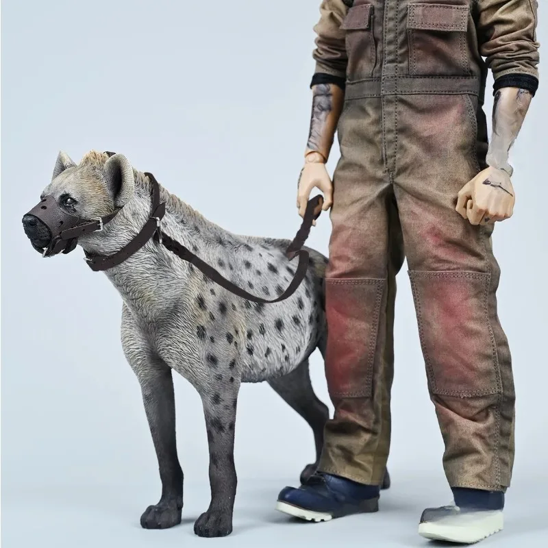 

JXK215 1/6 Scale Hyaenidae Simulation Static Animal Model Trendy Cute Pet Dog Ornament Action Figures Soldier Accessories