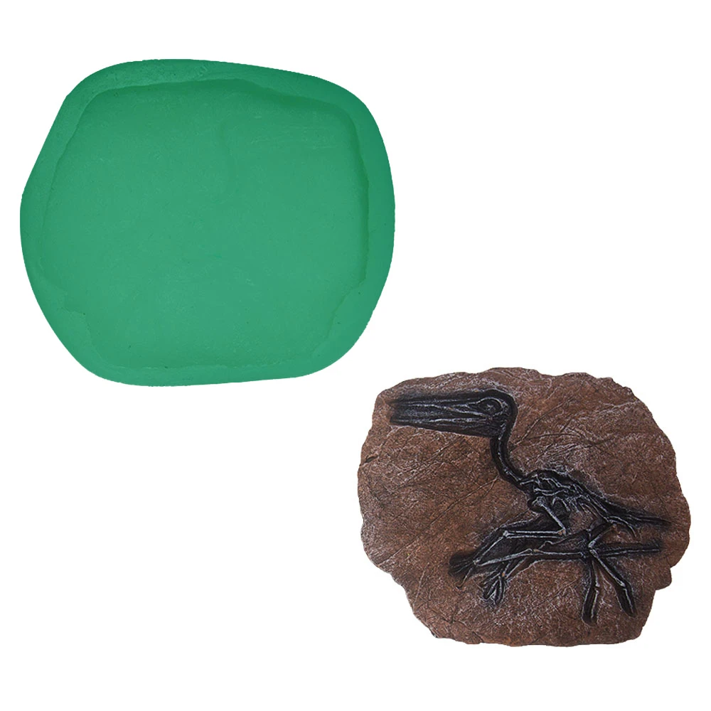Pterosaur Fossils Silicone Mould DIY Handmade Crafts Making Home Decoration Tools Handpainted Gypsum Ceramic Baking Epoxy Mold