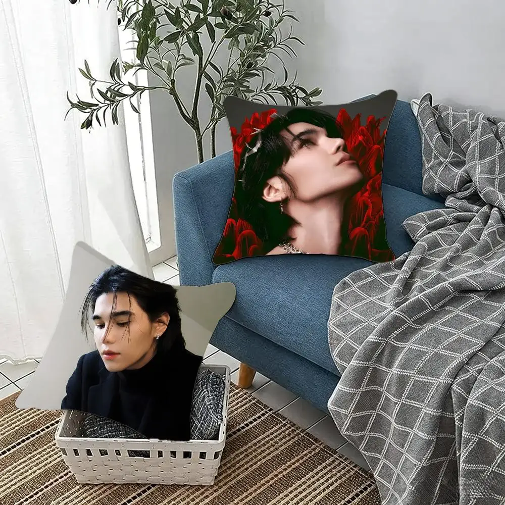 Thai singer Jeff Satur Cushion Cover Fluffy velvet Nordic style plush Living room sofa decorative