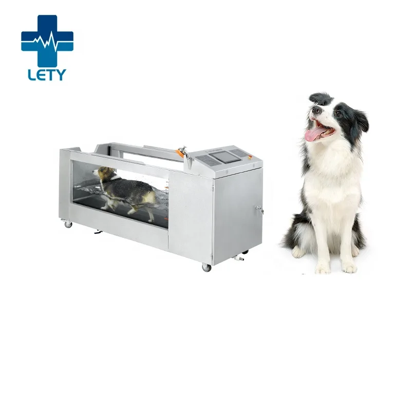 Medical Rehabilitation Pet Treadmill Electric Dog Underwater Hydrotherapy Treadmill