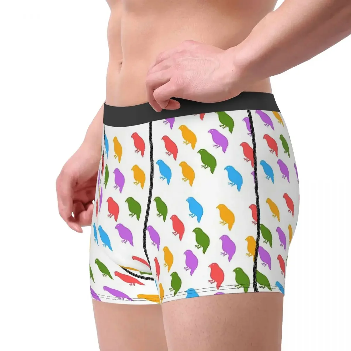 Pattern Kakapo Parrot Kaka Po Strigops Habroptila Bird Birds Underpants Cotton Panties Man Underwear Print Shorts Boxer Briefs