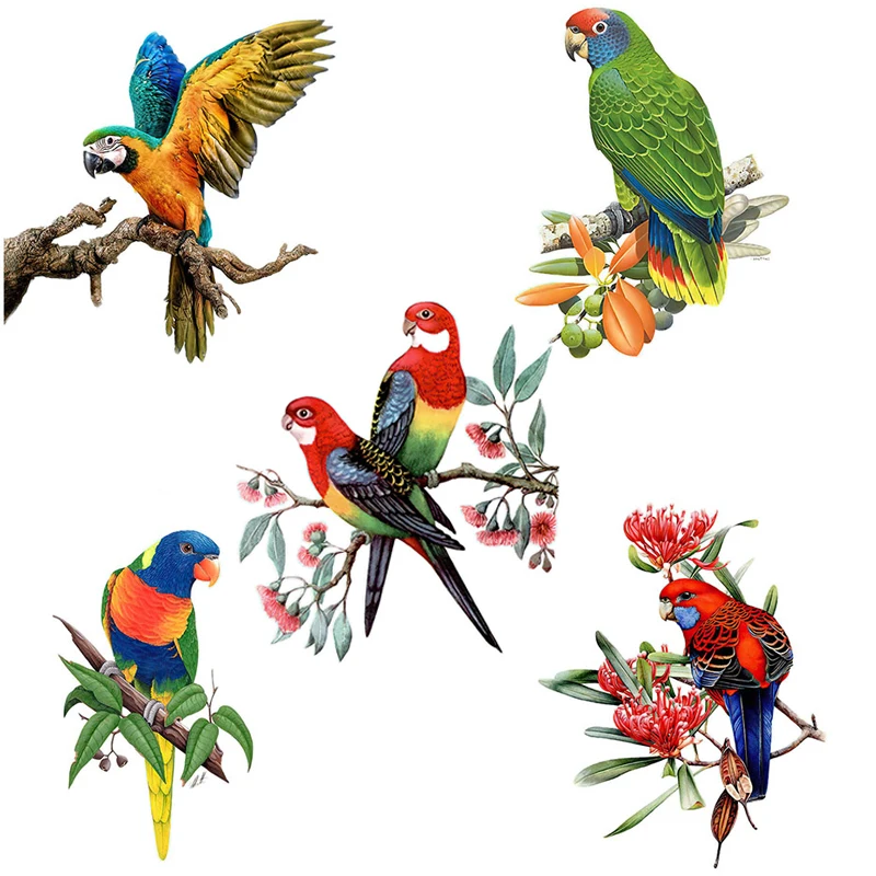 T148# Hand painted Parrot Wall Sticker Bathroom Toilet Decor Living Room Cabinet Home Decoration Decals