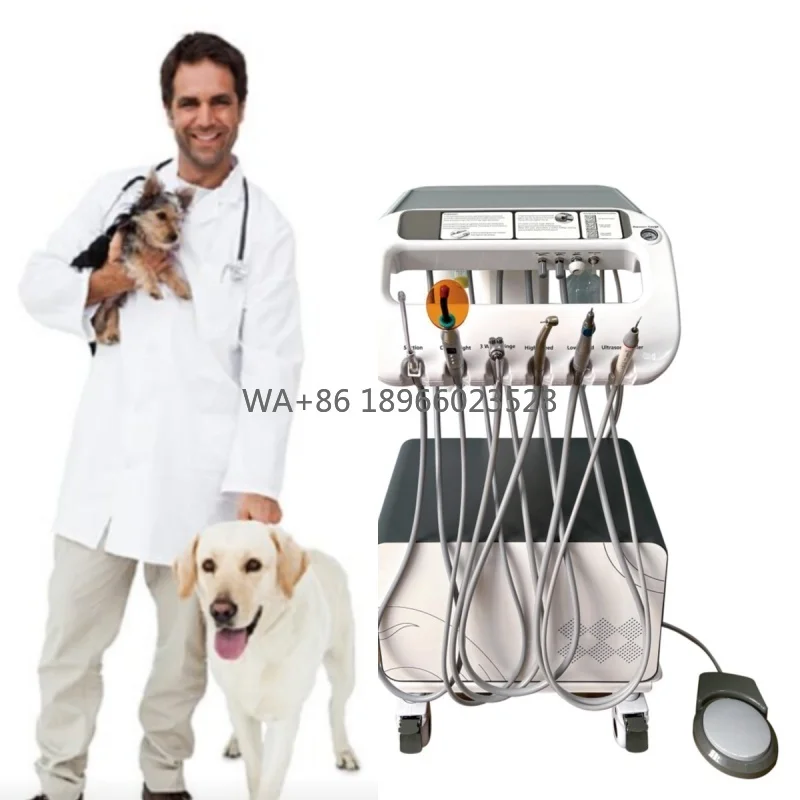 Veterinary Dental Equipment Pet Tooth Treatment Machine Move at Will Vet Use Pet Dental Treatment Unit with Compressor