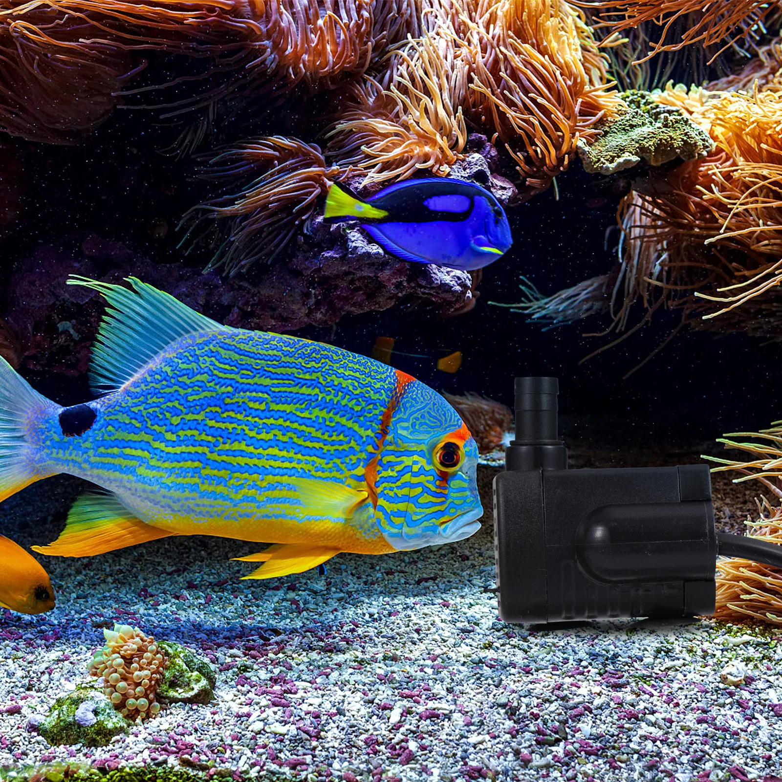 

Submersible Water Pump 220V 220L H Adjustable Flow Aquarium Fountain Pond Pump Suction Cups Filter Cover Acid Alkali