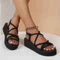 DajieBlack5cm