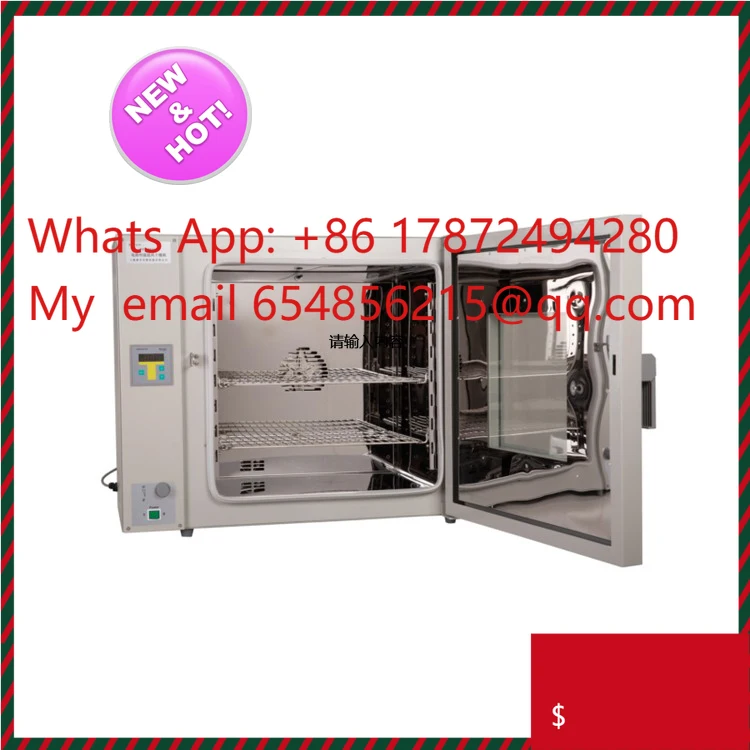 Professional Laboratory Electric Dry Heat Oven Microwave Drying Oven Manufacturer in China for Scientific Research