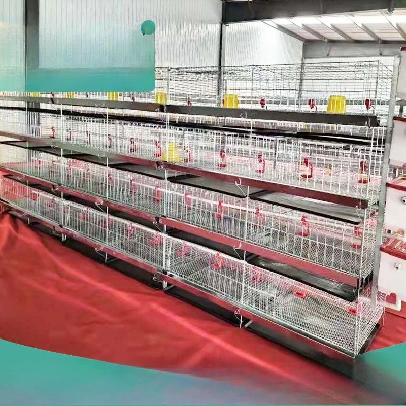 Farm laying hens cage chicken and duck three-layer bilateral vertical galvanized wire cage