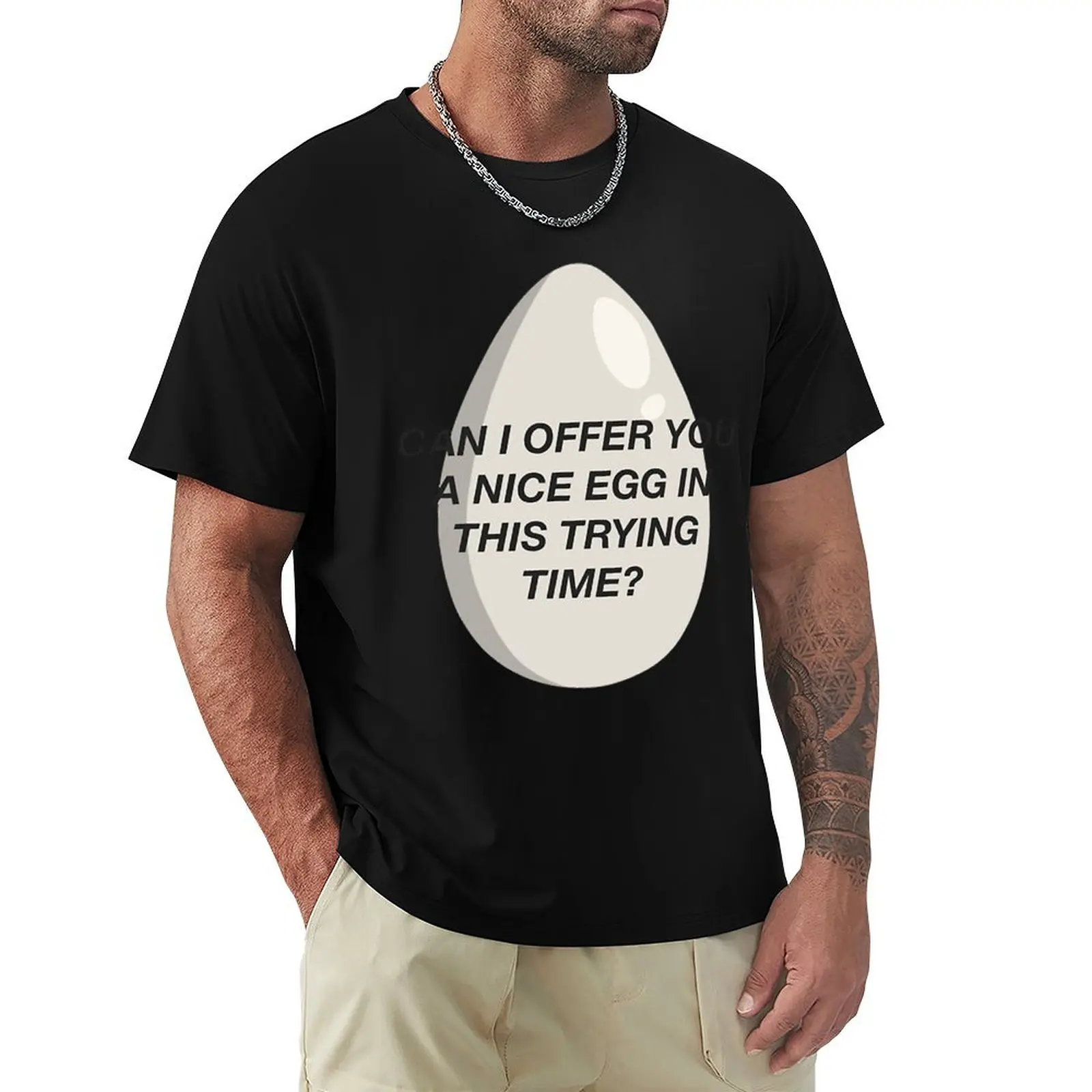 CAN I OFFER YOU A NICE EGG IN THIS TRYING TIME - It_s Always Sunny (1) T-Shirt Basic Daily Outfit Short Sleeve Tee
