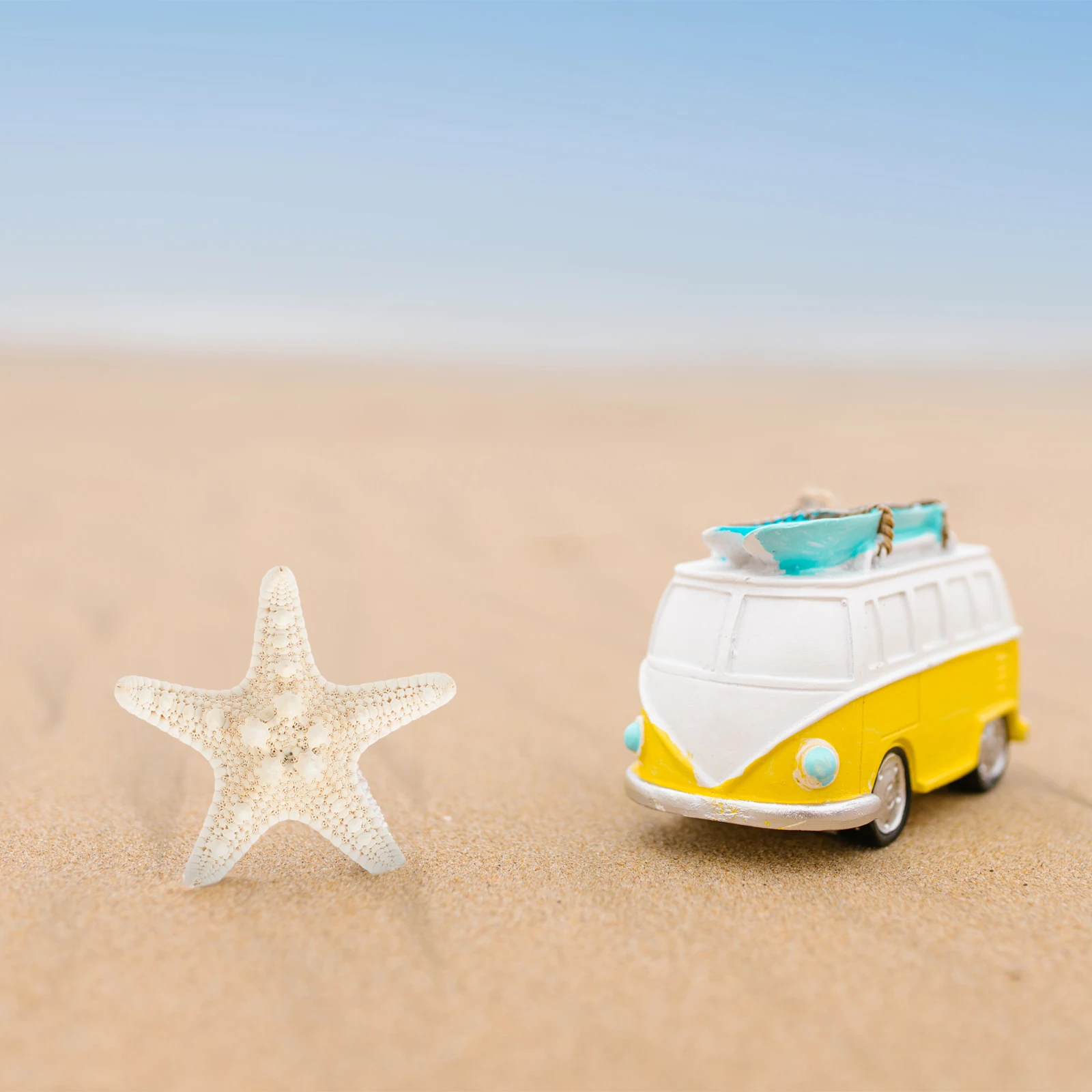 

2pcs Natural Sea Star Decor Diy Handicraft Craft Jewelry Aquarium Fish Tank Vase Filling Micro Landscaping Ocean Style Adornment