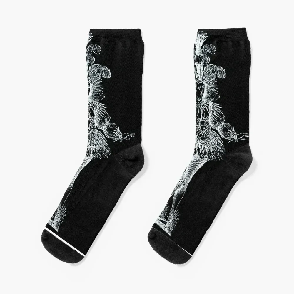 

Ballet de la nuit (Louis XIV, King of France) 1653 Socks moving stockings football Running Men Socks Luxury Brand Women's