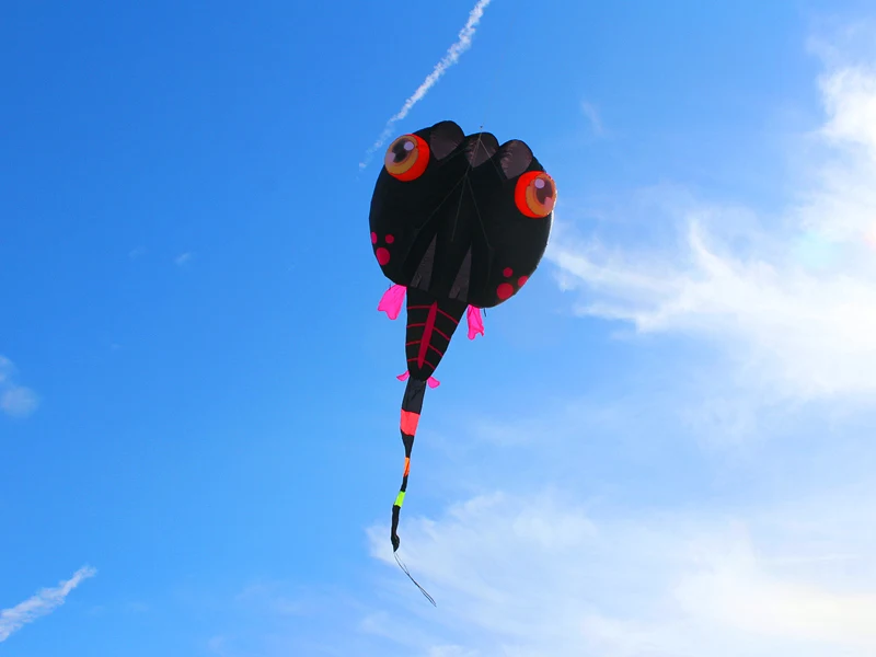 검은색 올챙이 연, 부드러운 나일론 천 연, 성인용 연, 전문가용 연, 대형 풍선 연, 트롬포