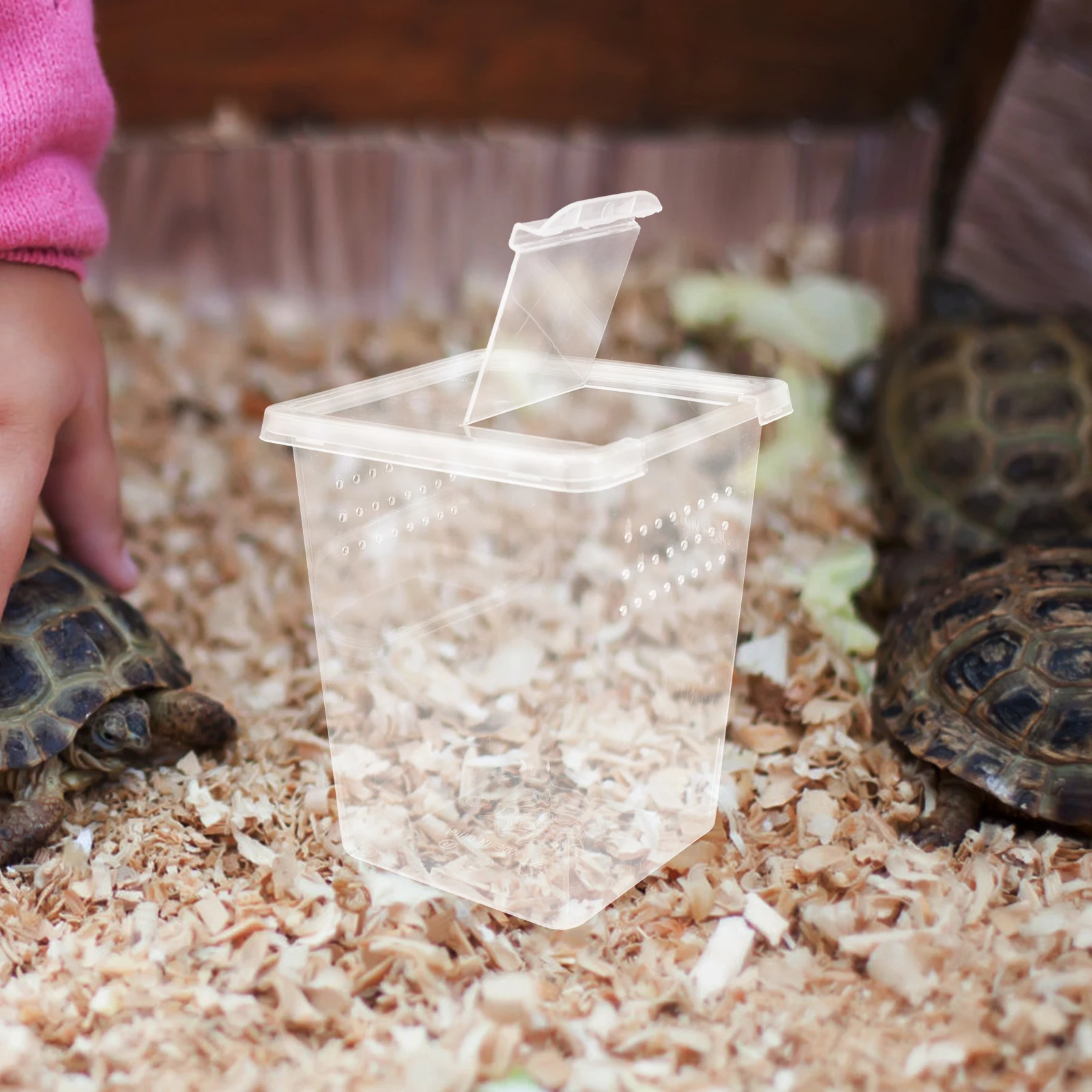 8 قطعة الحيوانات الأليفة العنكبوت الموئل شفافة الزواحف الضميمة التهوية خزان التغذية للكريكيت الثعابين الناسك كراب المحمولة #1