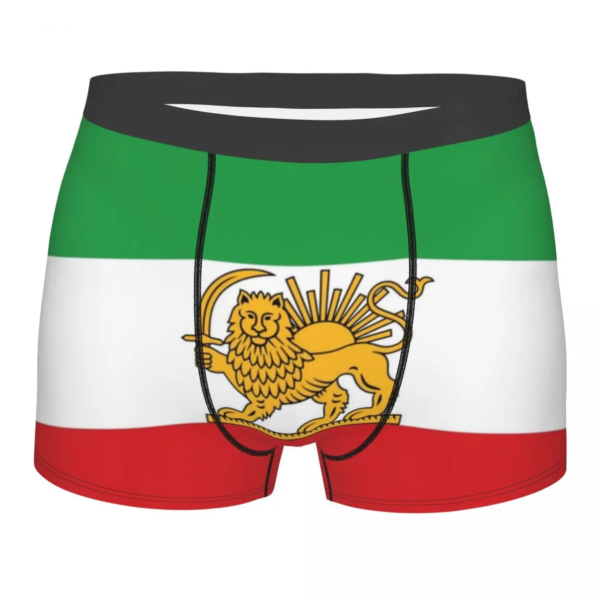 

Male Sexy Iran Iranian Flag Lion Underwear Boxer Briefs Men Stretch Shorts Underpants