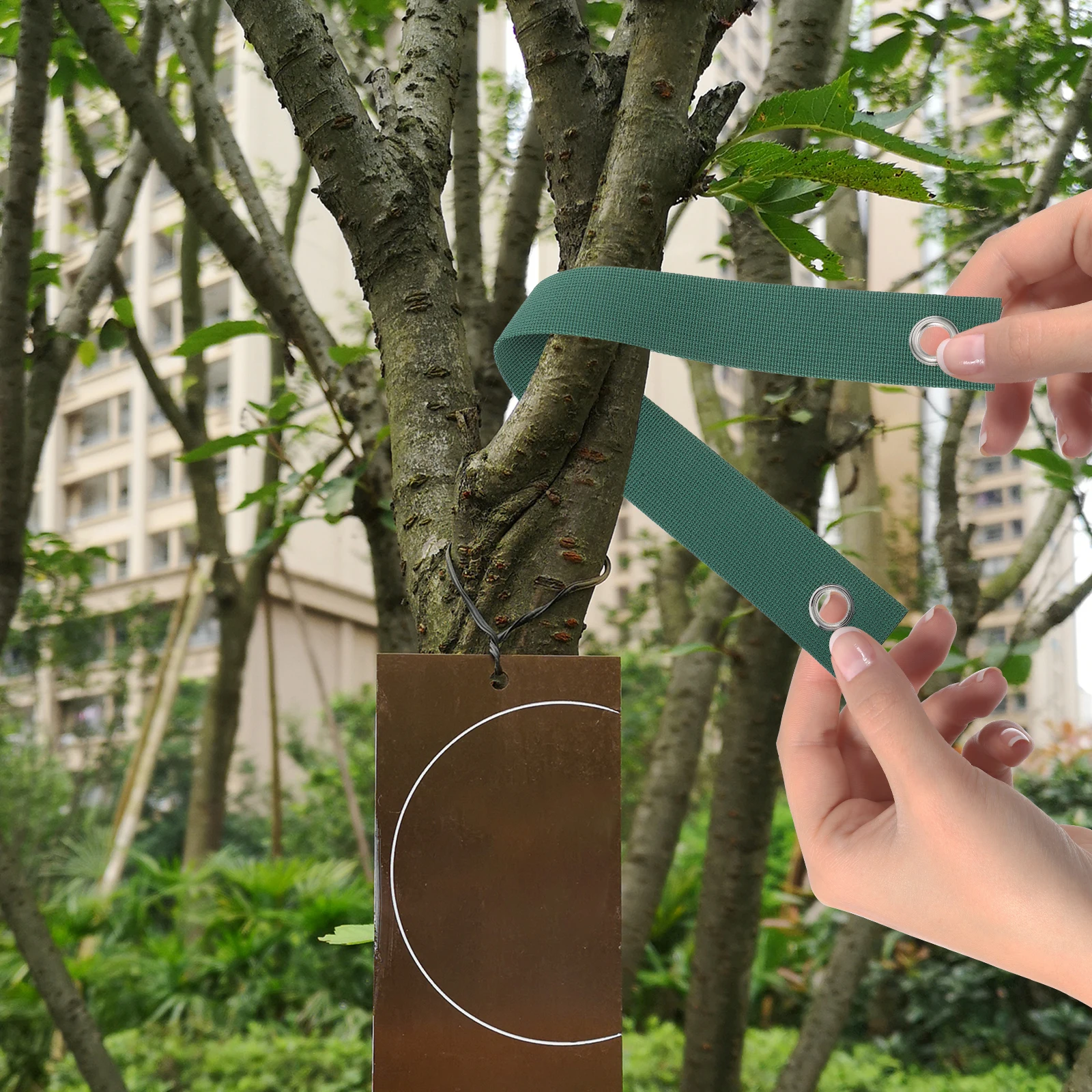 

Heavy Duty Tree Support Kit Windproof Fixing Belt Set Metal Stakes Garden Swing Branch Hurricane Rope Protector Straps Tree Ties