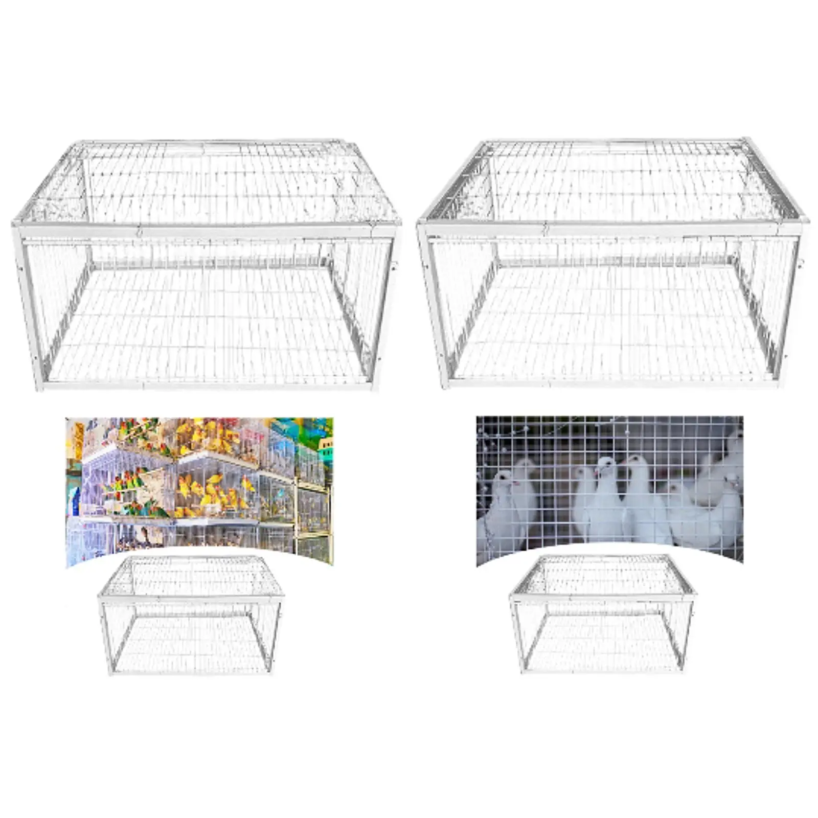 Bird Cage Automatic Pigeon Collection Humane Single Way Entry Thickened Pigeon Coop Chicken Cage for Gardens Garages Orchards