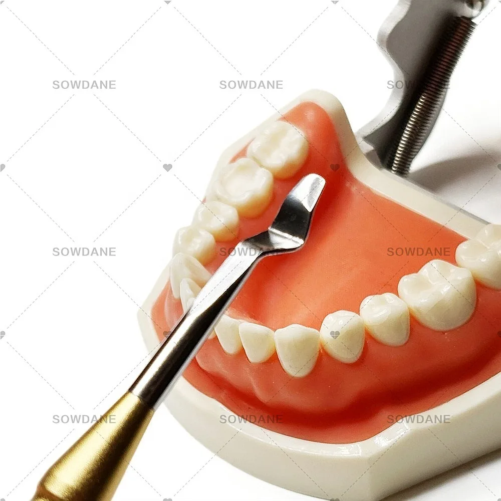 Lab Stainless Steel Socket Shield Retractor Gingival Retraction Tool Gum Separator Periosteal Elevator