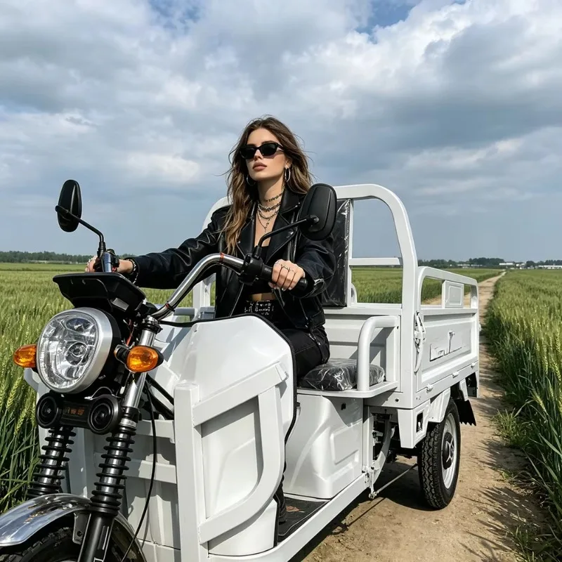 Factory Wholesale Cargo tricycle Three Wheeled Cheap Mini 60V 2000W Scooter 3 Wheel Passenger Electric Tricycles For Adults
