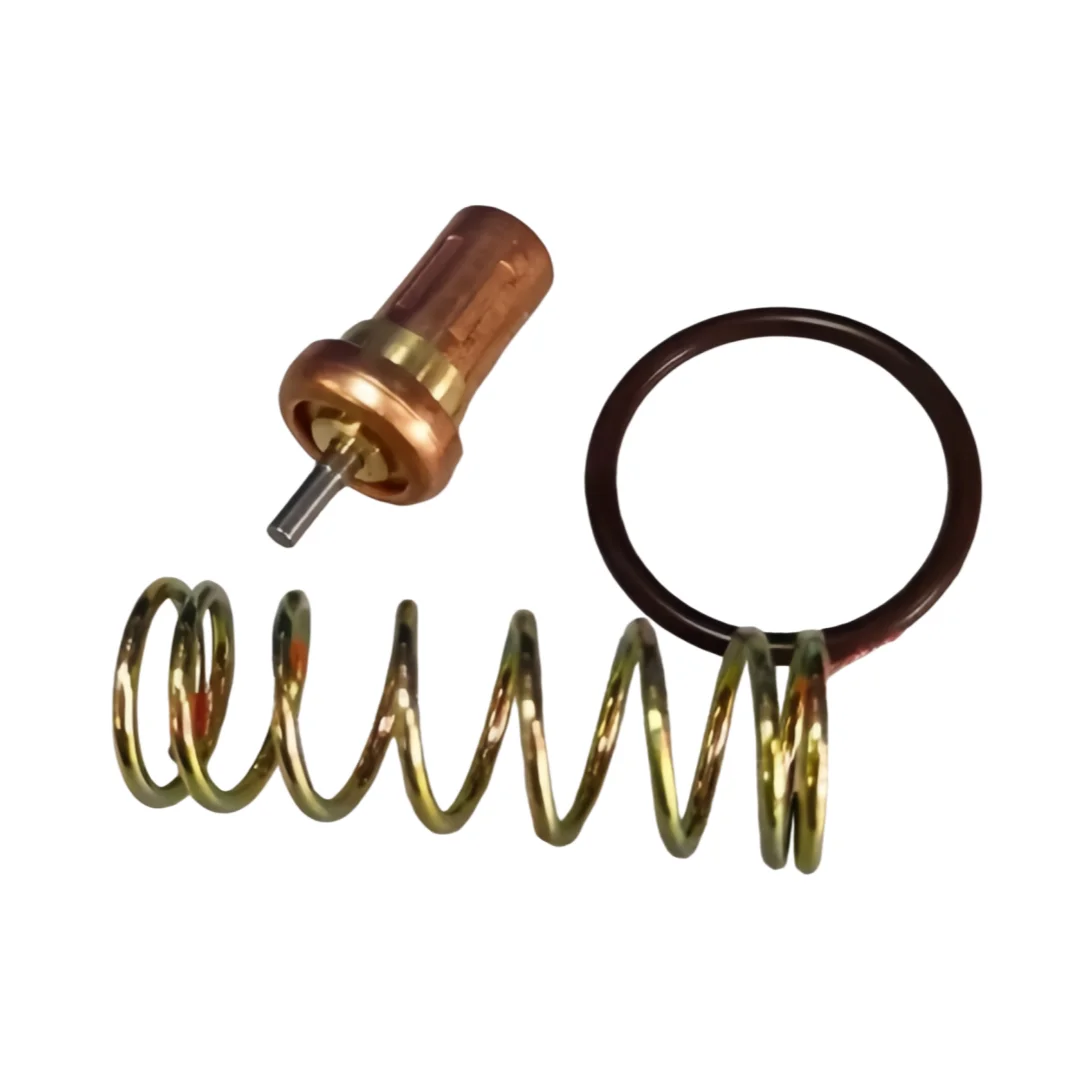 

2200599825 Комплект термостатических клапанов для винтового воздушного компрессора Atlas Copco, запасные части