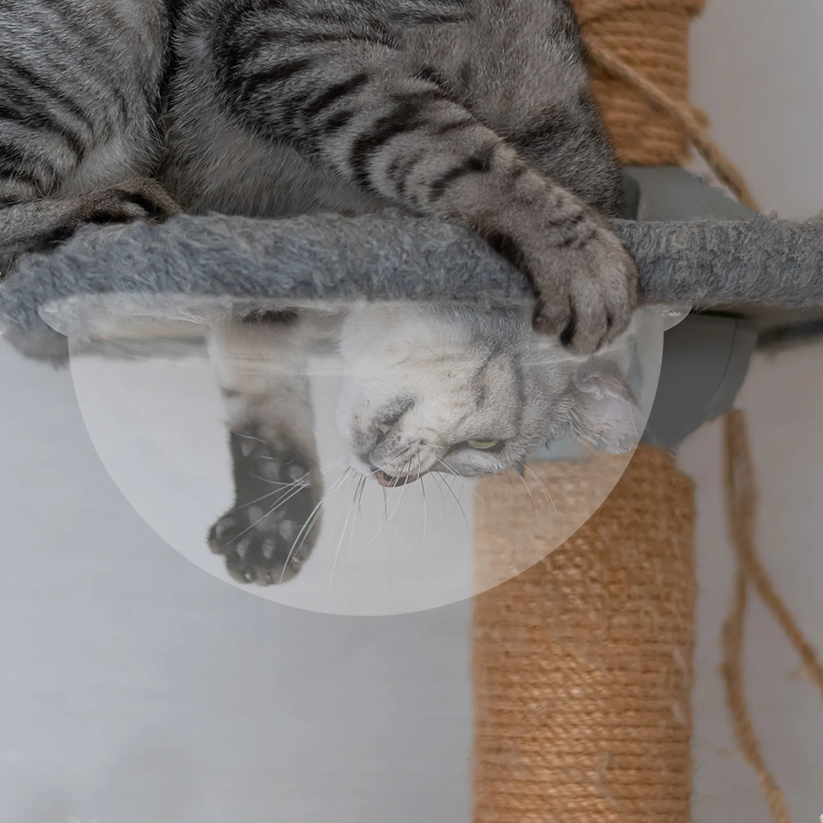 

27Cm Transparent Cat Nest Dome Capsule Bowl For Indoor Cats Acrylic Climbing Frame Accessory Quiet Space Modern Cat Furniture