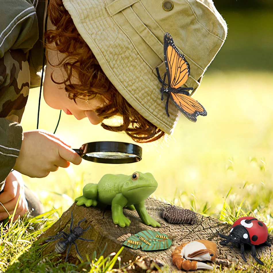 Animales y Plantas simuladas para la Educación de la primera infancia, modelo de juguete para niños, siete mariquitas estrelladas, mariposas, abejas, tortugas