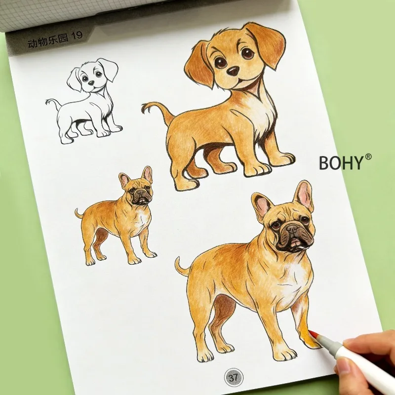 1 Animal Copying and Coloring Exercise Book, Including Themes As Elephants, Dolphins, Dinosaurs, Koalas, Crocodiles, 40 Pages