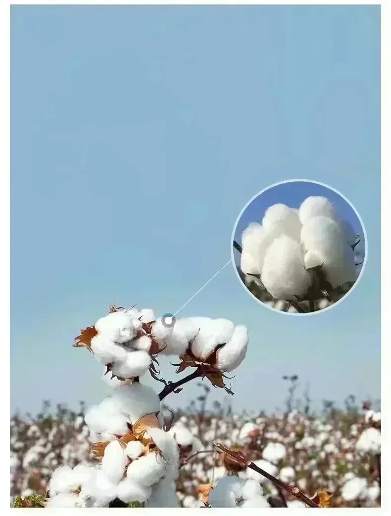 Thumbnail 3 - #67 Best Basic Cotton T-Shirts to Buy In 2026