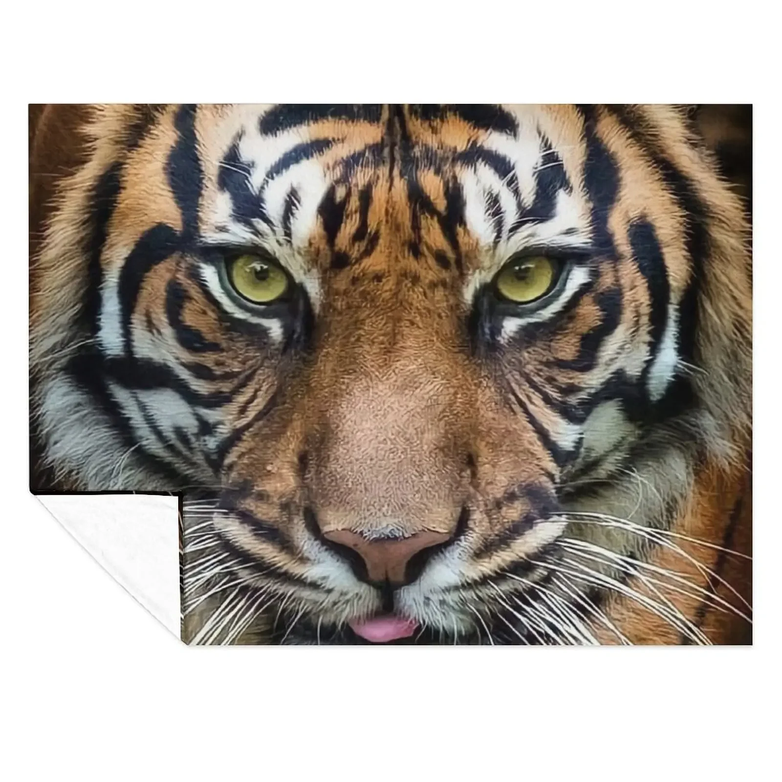 

Awesome Tiger Close Up Throw Blanket Bed Fashionable anime bed plaid Hairys Blankets