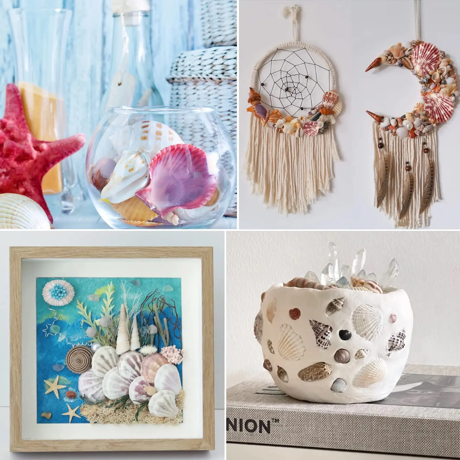 30 قطعة صدف صدف طبيعي من شاطئ البحر لديكور الحرف اليدوية لحفلات الزفاف وحفلات موضوع الشاطئ وديكورات المنزل