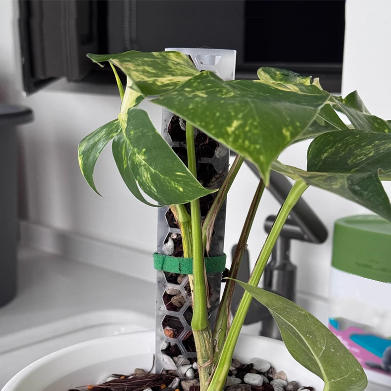 5 Stück Pflanzenstützen 30 cm/12 Zoll Moosstangen-Tutors für Indoor Bonsai Kletterpflanze Garten Pflanzenwachstumsunterstützung Zubehör