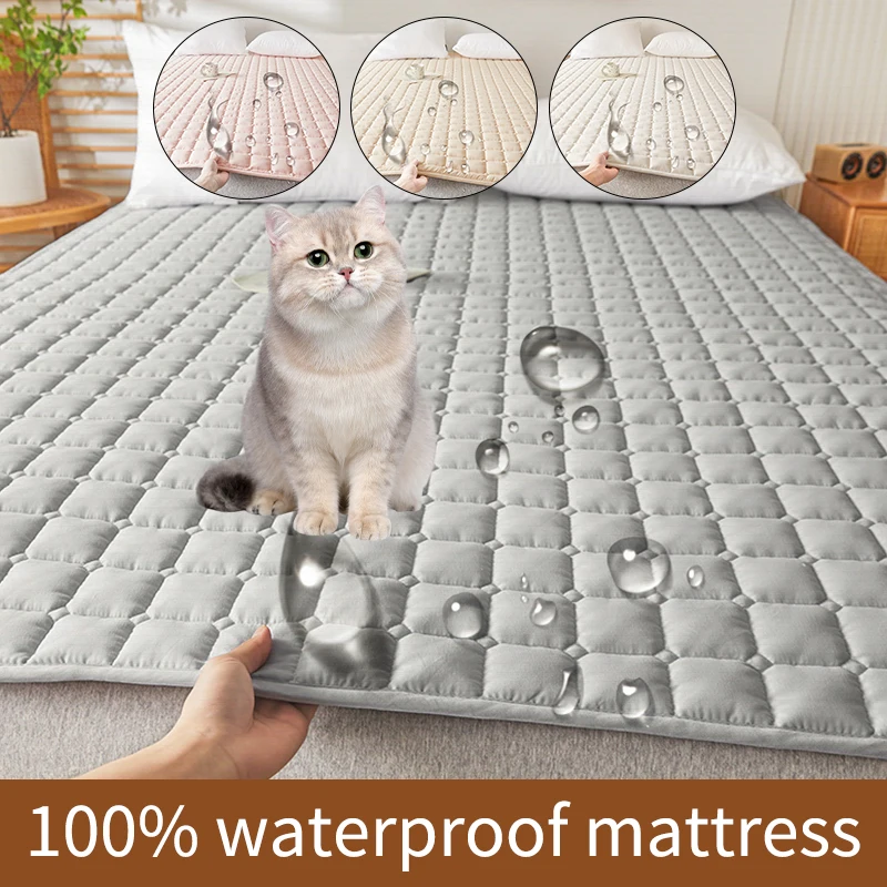 1-piece set of Class A bed cover Four seasons general dormitory Autumn and winter tatami anti-slip quilted bed sheet Garden smal