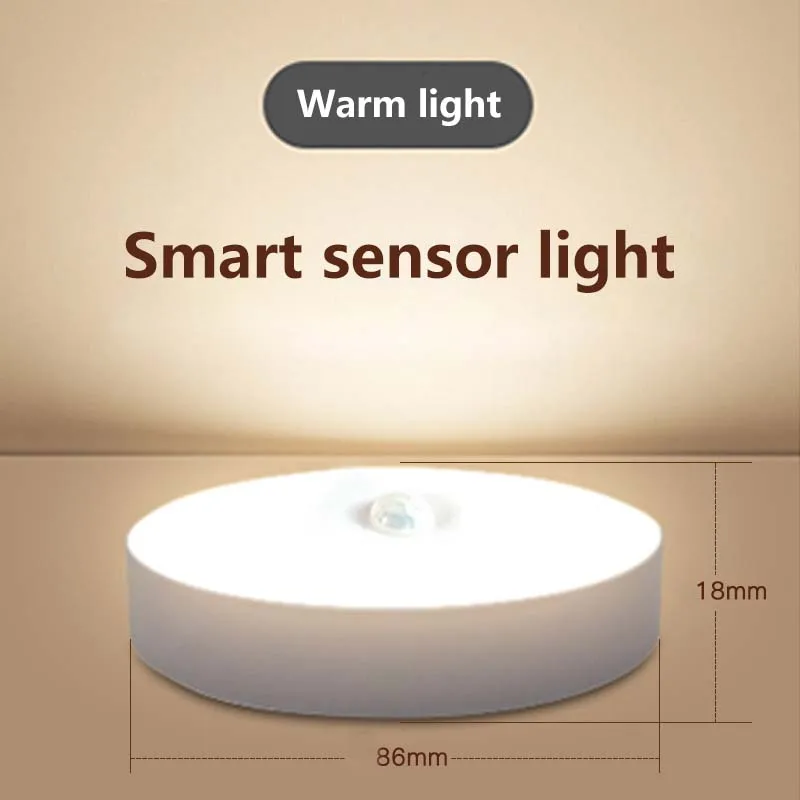 LED Smart Human Body Sensor Lamp Emergency  Automatic Night Light Sensor Wardrobe Lamp Entrance Stair Lamp USB Charging