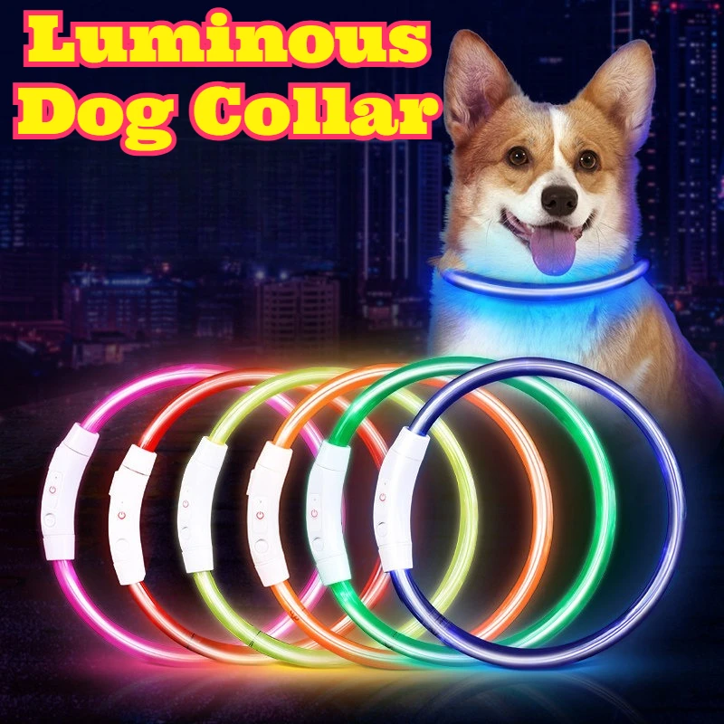 LED Dog Collar Rechargeable Luminous Glow Dark Night Walking Anti Lost Adjustable Pet Neck Strap Small Medium Large Dogs Safety