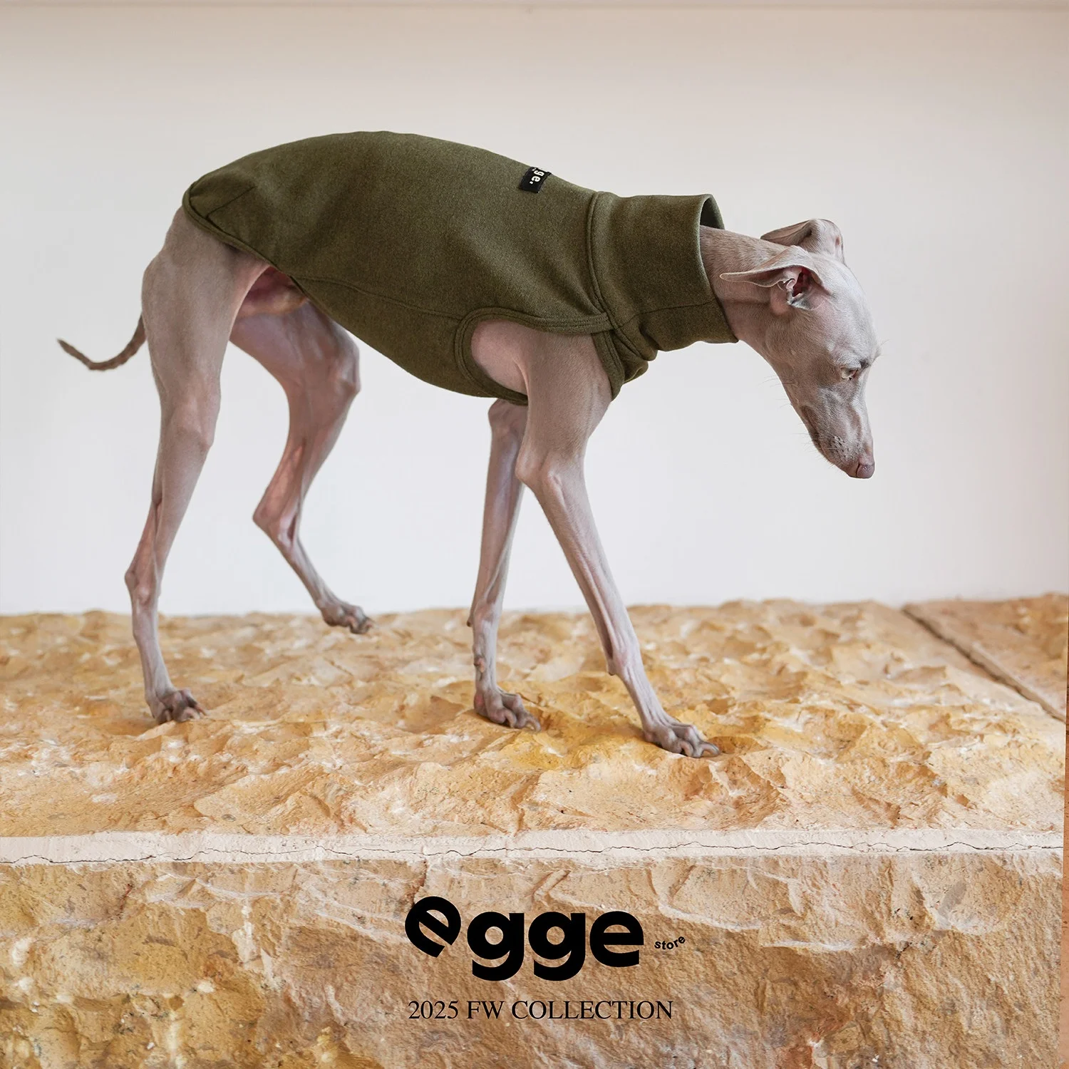 Chaleco de Forro Polar Suave y Cálido EGGE para Perros Whippet, Pijama sin Mangas con Protección para el Vientre, en Azul, Amarillo, Rosa y Verde, para Otoño
