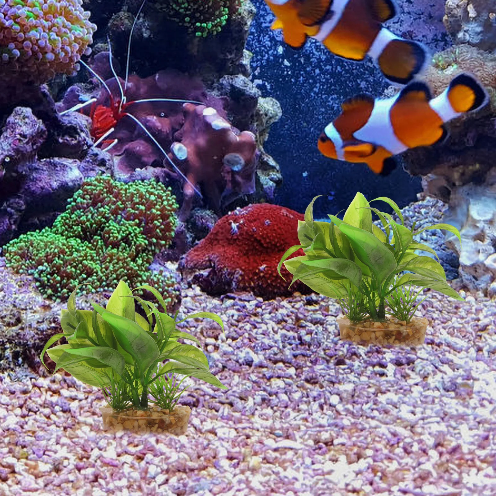 

Fake Aquarium Plants Plastic Fish Tank Plant Ornament Lifelike Aquatic Plants Aquarium Decor Exquisite Craft Fish Tank Decors