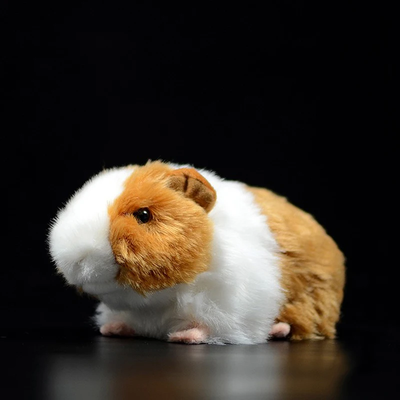 Simulated Animal Cavy Domesticated Guinea Pig Cavia Porcellus Mouse Rat Pet Model Plush Toy Stuffed Doll Girl Boy Birthday Gift