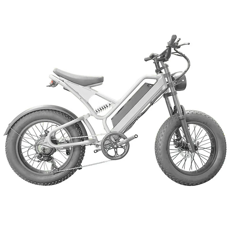 

20-Inch Electric Bicycle Adult Assisted Off-road Mountain Bike