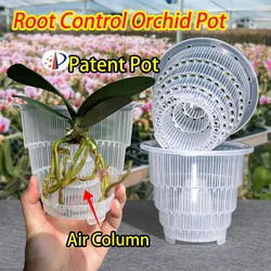 Meshpot Clear Orchid Pots with Holes Cattleya Dendrobium Orchid Plants Pot Cachepot in 10cm 12cm 15cm Home Decoration