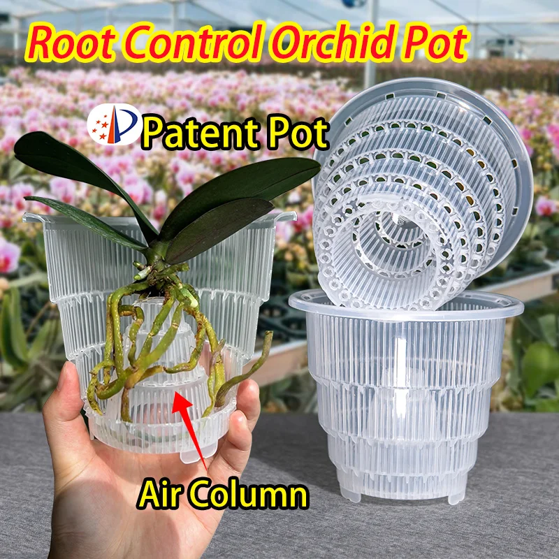 Meshpot Clear Orchid Pots with Holes Cattleya Dendrobium Orchid Plants Pot Cachepot in 10cm 12cm 15cm Home Decoration