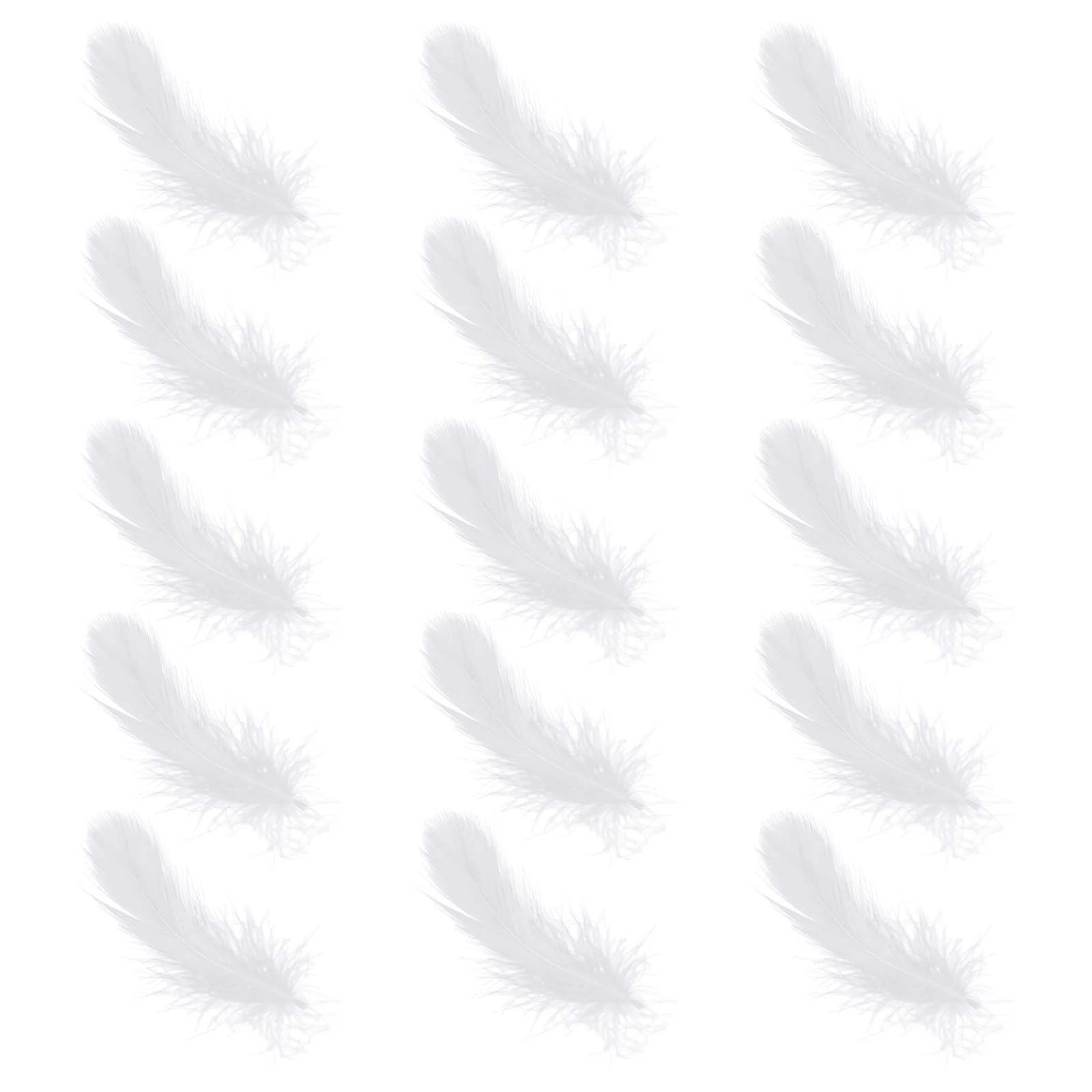 

200Pcs Multi-Color Real Decorative Wedding Swan Craft DIY Home Party Supplies Craft Home Decoration