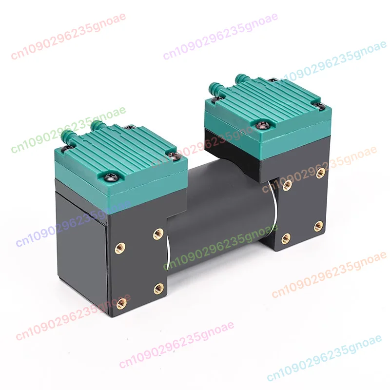 

Small DC Vacuum Pump 12V24V220V Negative Pressure Pump Pumping Dual-purpose Double-head Miniature Diaphragm Air Pump