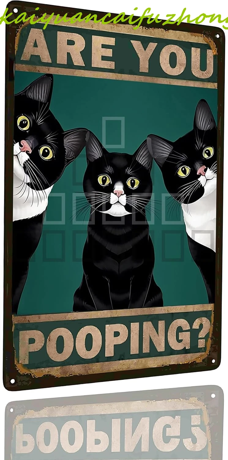 Are You Pooping Metal Tin Sign Funny Cats Signs Bathroom Decor for The Pig Pictures for Kitchen Decor Kitchen Home Music Room Th