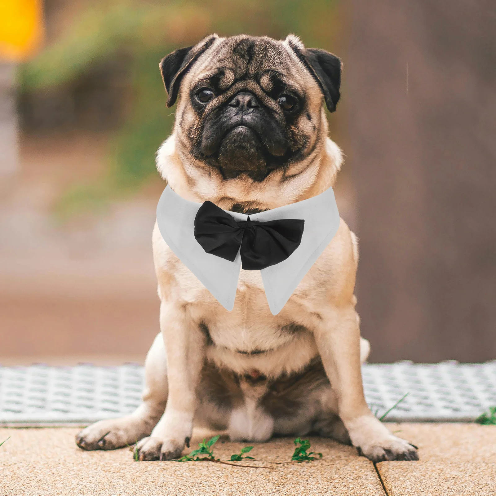 

Pet Bow Tie Cat Collar Neckwear White M Size Lightweight Safe Decorative Dog Collars for Male Cats Girl Necklace Puppy Toys
