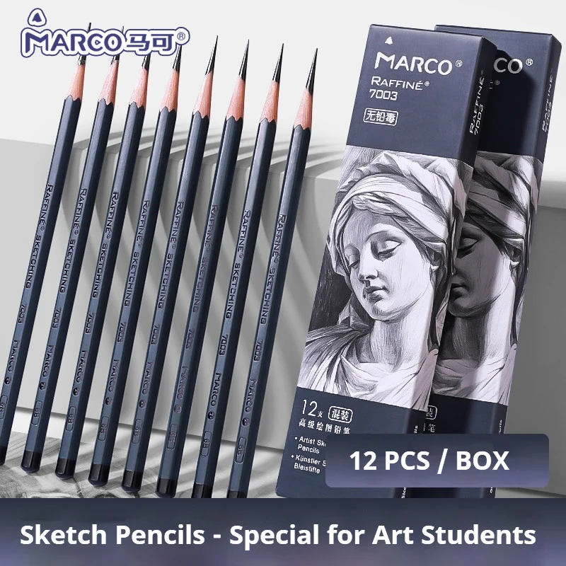 12Pcs/Set Drawing Sketch Pencils Set Wooden Professional 2H-14B Artist Graphite Shading Pencils Painting Students Stationery