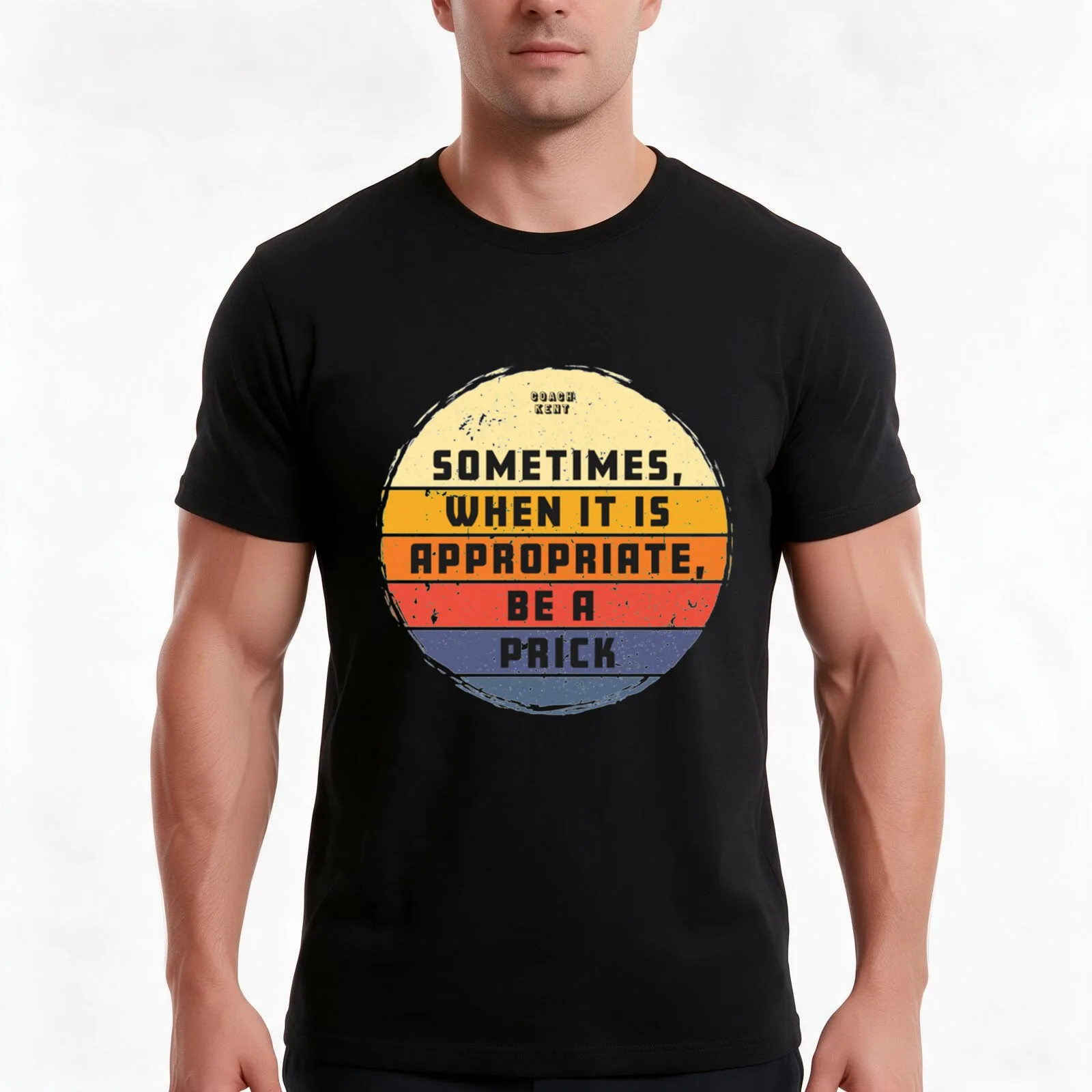 Sometimes When It Is Appropriate, Be A Prick Retro Vintage T-Shirt, Summer Casual Cotton Tee, Oversized Streetwear Tops