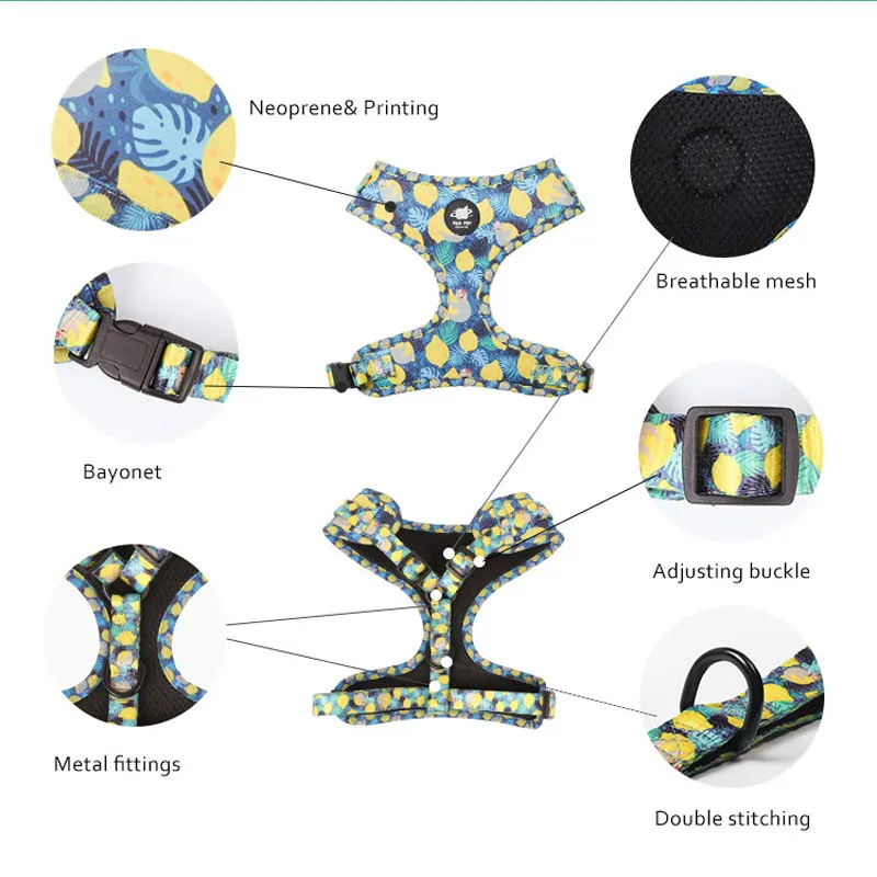 BEEMAN Fashion Printed Nylon Dog Harness Vest Reflective No Pull Dog Harness Leash Set For Small Medium Dogs Cats French Bulldog