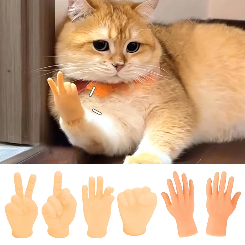 Cat Petting Little …