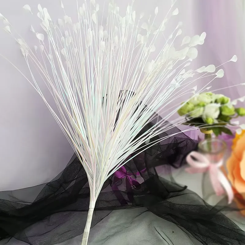 1PC 200 Heads Peacock Grass Ar - đánh giá và giá Pampas Grass Decor